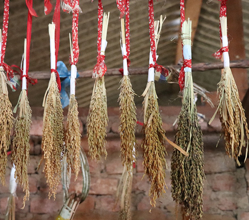 Knowledge Preservation